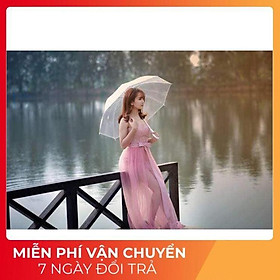 Mua Ô đi mưa trong suốt / ô trong suốt