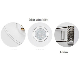 Mua Công tắc cảm biến hồng ngoại ốp trần cao cấp
