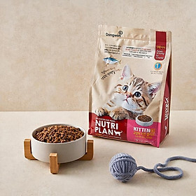 [Túi 1.5kg ] Thức ăn hạt mèo con Nutri Plan Kitten Plus - Balanced Cat Food