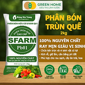 Phân Trùn Quế Greenhome, Bao 2kg, Dinh Dưỡng Hữu Cơ, Không Mùi, Tốt Cho Lan, Bonsai, Rau, Cây Ăn Trái - 1 TRÙN QUẾ 2KG SFARM