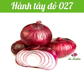 Hạt giống Hành tây đỏ gói 2gr