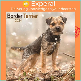 Hình ảnh Sách - Border Terrier Calendar 2024  Square Dog Breed Wall Calendar - 16 Month by  (UK edition, paperback)