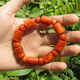 Vòng Tay Gỗ Huyết Long Thấu Quang TOKDODO