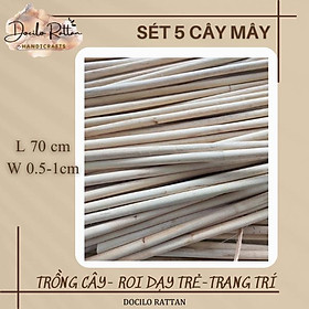 Mua Combo 5 que mây dẻo- mây cây- trang trí  trồng cây  dụng cụ hỗ trỡ múa  tập võ