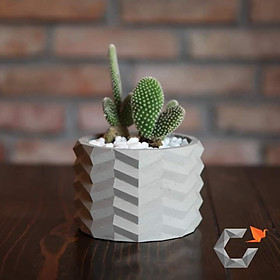 Chậu trồng sen đá , xương rồng, bonsai cây cảnh bằng xi măng Model Origami hình trụ tròn 11x8.5cm- Cement pots handmade Vintage / gift
