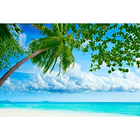 Tranh Dán Tường 3D Cao Cấp VAD_NATURE0745