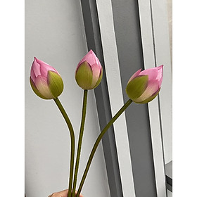 Mua Hoa Sen Bách Diệp Giả  Cành Sen Lá To Nụ Sen Đài Sen HL051-4
