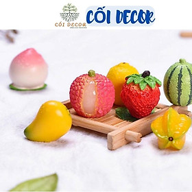 Mô hình các loại quả, trái cây bằng nhựa nhiều màu sắc