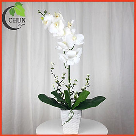 Mua Chậu hoa giả lan hồ điệp để bàn cao 53cm trang trí nhà cửa  bàn làm việc  kệ tủ siêu đẹp CL1