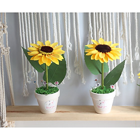 Mua 2 Chậu hoa Hướng dương mini decor