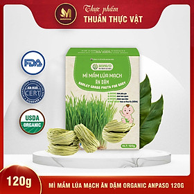 Mì Rau Củ Mầm Lúa Mạch Organic Anpaso Ăn Dặm Cho Bé Từ 6 Tháng Tuổi 120g/ 300g - Bổ Sung Chất Xơ, Giàu Sắt và Các Vitamin C, Nhóm B, A, Cải Thiện Hệ Tiêu Hóa, Tốt Cho Sức Khỏe Của Bé