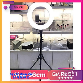 Mua đèn livestream 36cm