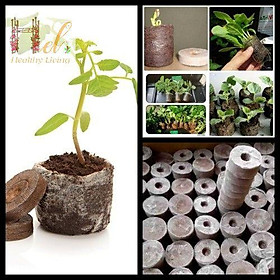 Mua Viên Nén Xơ Dừa Ươm Hạt Giống Tiện Lợi  Giúp Nảy Mầm Tốt  Tiện Dụng  Tiết Kiệm Thời Gian