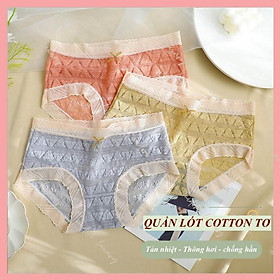 Quần lót nữ ren Midori cạp vừa co dãn tốt đáy lót cotton kháng khuẩn chống viêm B114