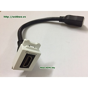 Mua Hạt ổ cắm HDMI âm tường (hạt thẳng  hạt bẻ góc chữ L  hạt dây dài 20cm). Dùng lắp mặt âm tường  ổ cắm âm sàn