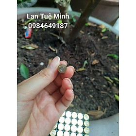 Đầu bep phun sương chất liệu đồng thau đủ cỡ