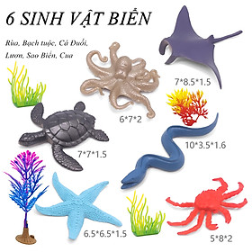 Bộ 6 đồ chơi sinh vật biển size lỡ: Rùa, cua, sao biển, cá đuối, lươn, bạch tuộc