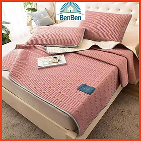 Mua Chiếu cao su tencel 3D siêu êm mát chiếu điều hòa - Ben ben