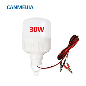 Bóng đèn 12V công suất 30W 40W 50W, loại đuôi xoáy E27 và loại dây kẹp, đèn bình ắc quy