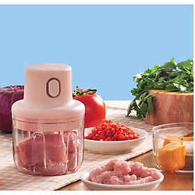 Mua Máy Xay Thịt Cầm Tay Mini Sạc Điện 250ml – Máy Xay Tỏi Ớt  Củ Quả Đa Năng  Có Cổng Sạc Usb