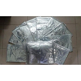 Mua Áo mưa trong suốt loại dày (1 và 2 đầu) loại To
