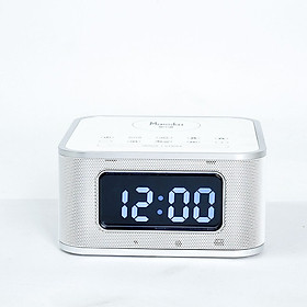 Loa Bluetooth tích hợp Massko Biz SS502
