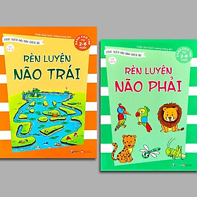 [Download Sách] Rèn luyện não trái và não phải - Phát triển đại não thiên tài (Bộ 2 quyển)