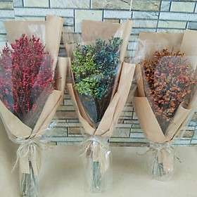 Mua Hoa sao bó tặng quà