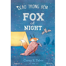 Fox At Night - Cáo Trong Đêm