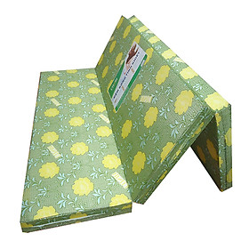 Mua Nệm Pe Hàn Quốc (1m55 x 1m95 x 5cm) - Giao Màu Ngẫu Nhiên