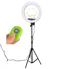 Mua Đèn Livestream RL18 II có gương trang điểm đường kính 45cm - Tặng kèm remote chụp hình bluetooth(màu ngẫu nhiên)