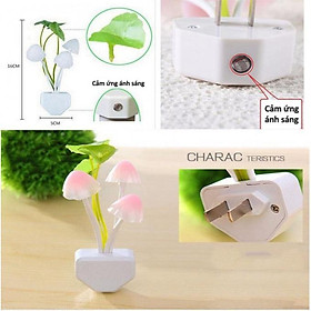 Đèn Ngủ Cảm Ứng Tự Bật Khi Tối Tự Tắt Khi Trời Sáng, Cắm Điện Hình Nấm Avata Siêu Cute Đáng Yêu