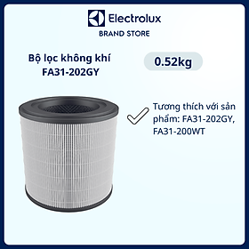 Bộ lọc không khí Electrolux FA31-202GY dòng A3 cùng với lọc than hoạt tính [Hàng chính hãng]