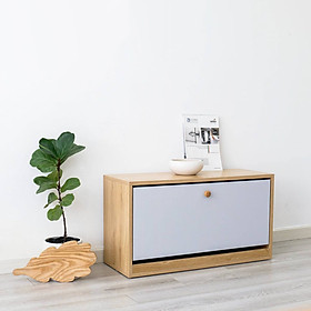 Mua Tủ Giày Thông Minh 1 Tầng