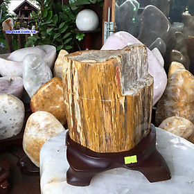 Trụ Gỗ Hóa Thạch Phong Thủy Trấn Trạch Trừ Tà GHT49 nặng 6kg kích thước 21x18cm (vàng đất) – Vật phẩm phong thủy may mắn