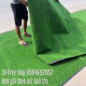 Mua Thảm cỏ sợi nhựa nhân tạo 2cm loại đế nhựa không sinh bụi đen