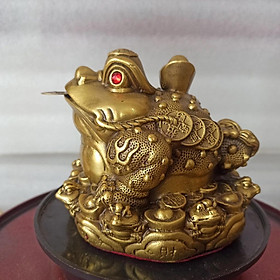 Mua Cóc bằng đồng cõng vàng ngậm tiền  cóc thần tài ngậm tiền bằng đồng  thiềm thừ phong thủy bằng đồng