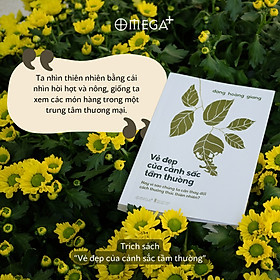 Vẻ Đẹp Của Cảnh Sắc Tầm Thường - Hay Vì Sao Chúng Ta Cần Thay Đổi Cách Thưởng Thức Thiên Nhiên?