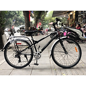 Xe Đạp Thể Thao Địa Hình FL2601