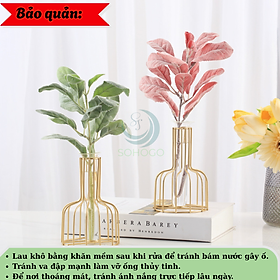 Mua Lọ Hoa Nghệ Thuật Khung Sắt Kèm Ống Thủy Tinh- Bình Hoa Trang Trí Khung Kim Loại Hiện Đại- Lọ Hoa Phong Cách Bắc Âu – Khung Sắt & Ống Thủy Tinh- Chân Đế Lọ Hoa Sáng Tạo Decor Nhà Cửa- Bình Hoa Mini Trang Trí Bàn Làm Việc/Phòng Khách