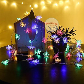 Mua đèn led bông tuyết đủ màu 3 mét