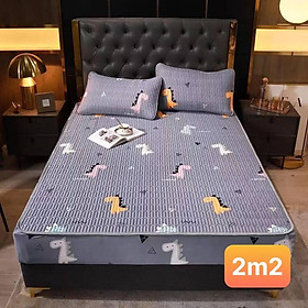 Mua Chiếu điều hoà cao su non 3d bọc chun _loại 1_ dầy dặn  đủ kích thước