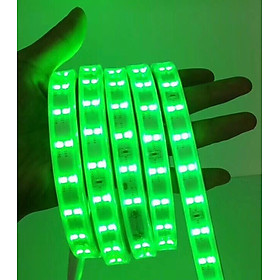 Mua  CHÍNH HÃNG  Dây Led Silicon. Ánh sáng Tím - Hồng  Đỏ  Xanh lá  Xanh dương. IP65 MV-LD2835*2. Led 2 hàng  10w/m