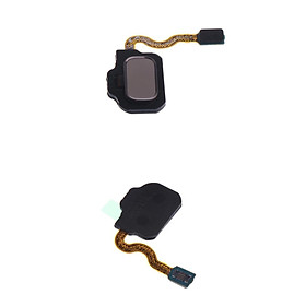 For Samsung Galaxy S8/S8+ Touch ID Sensor Home Button + Flex Cable Replacement (Pack of 2) Purple+Gold