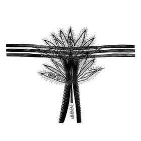 Quần lót nữ phối ren có đính hạt lọt khe sexy