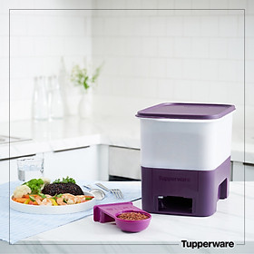 Thùng Gạo 5kg Tupperware Rice Smart Màu Tím