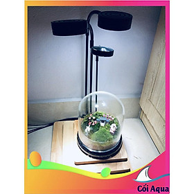 Đèn đế gỗ nhiều công suất dùng cho bể Terrarium, bán cạn, thủy sinh nhiệt độ màu 6000-6500K