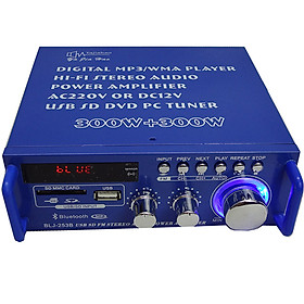 Mua Amply Karaoke Bluetooth Mini Tely BIJ253 Kết Nối USB Thẻ Nhớ Sử Dụng Nguồn 220V Và 12V