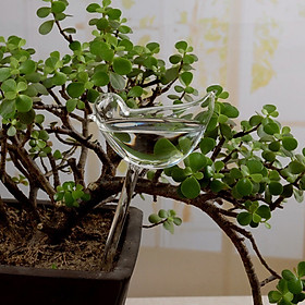 Plant Waterer Bird Self Watering Bulb Hand Blown Clear Glass Plant Watering Globe for Indoor Potted Plants