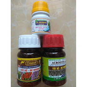 Mua COMBO dưỡng cây chăm sóc cây mai  bông giấy ( Ac roots+Seasol+VK humat) - 100ml/chai